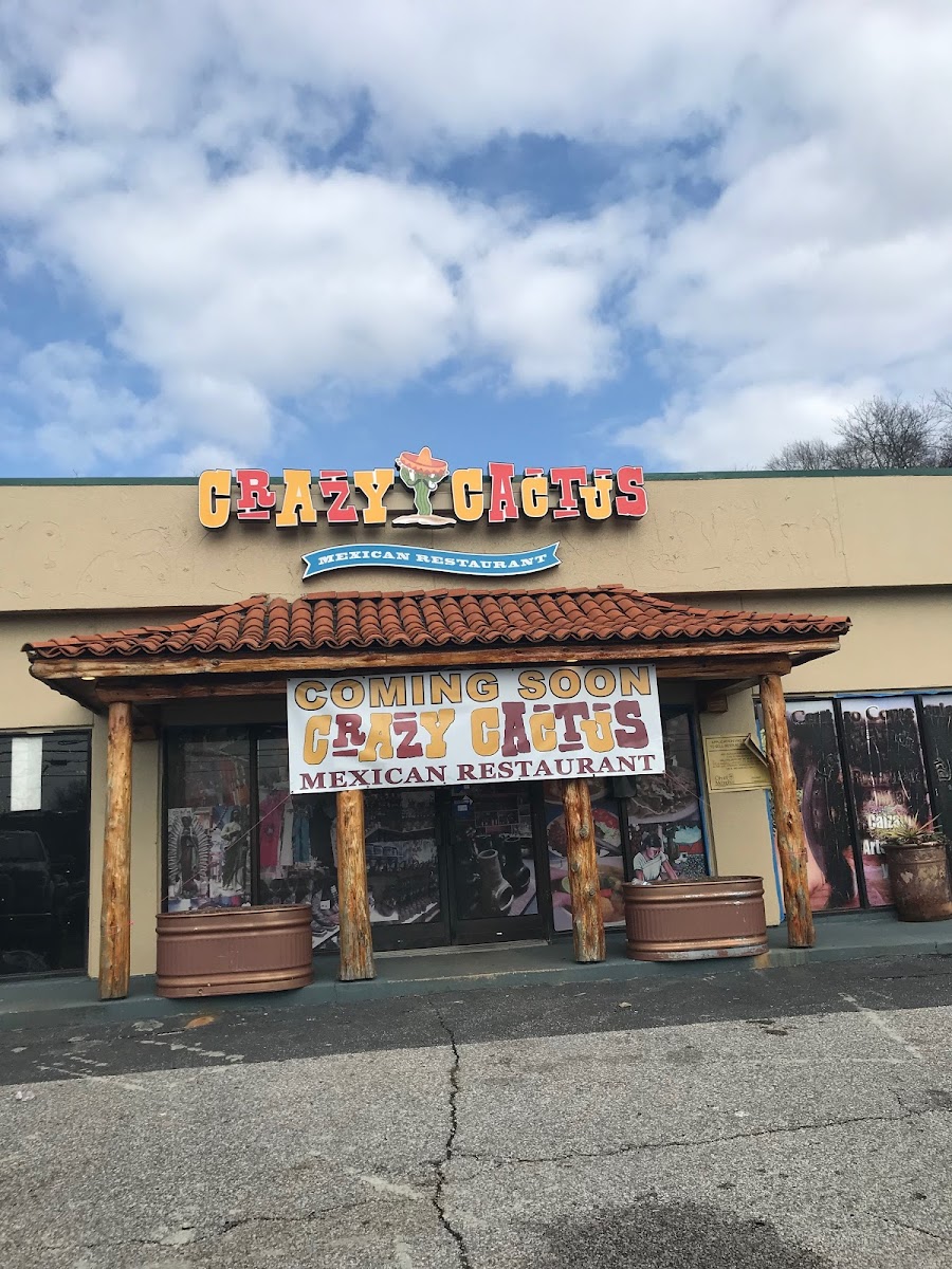 Crazy Cactus Summer Ave
